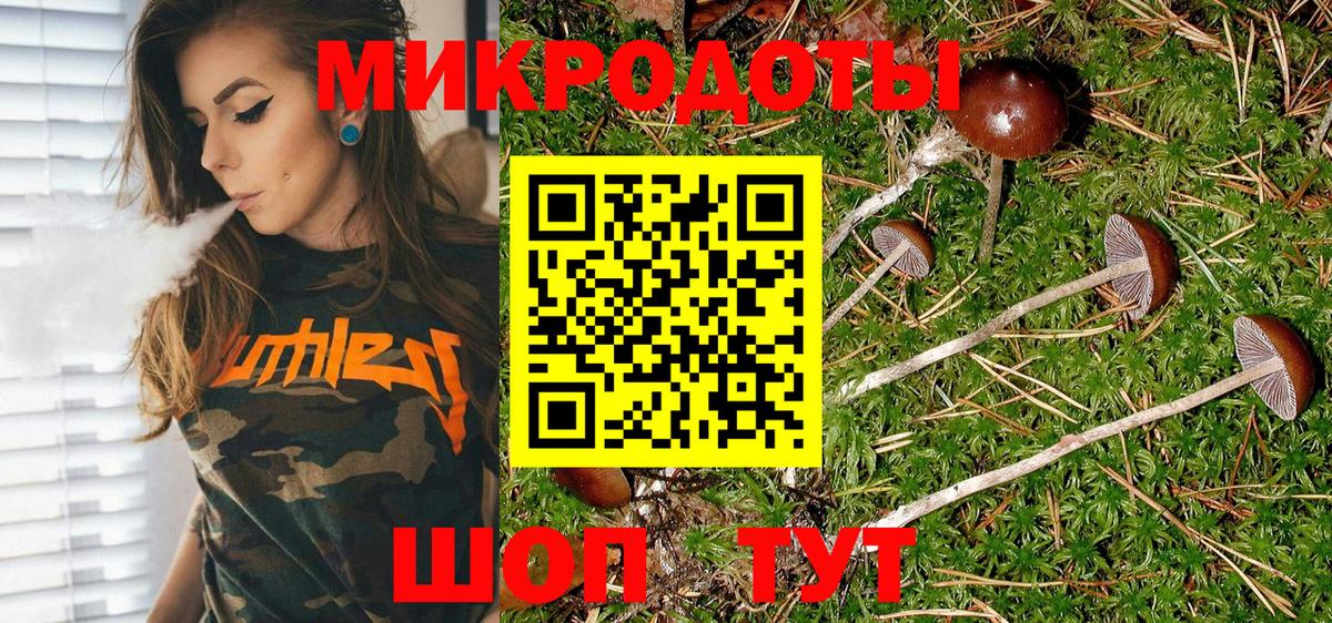 Галлюциногенные грибы мицелий  купить закладку  Псилоцибиновые грибы Magic Shrooms  Новотроицк  Вход с VPN 