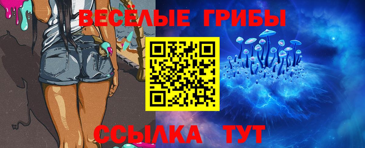 Галлюциногенные грибы Magic Shrooms Новотроицк